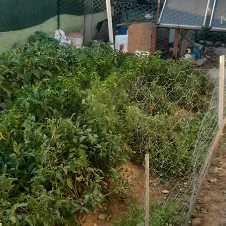 Séjour chez l'habitant Villa Ula